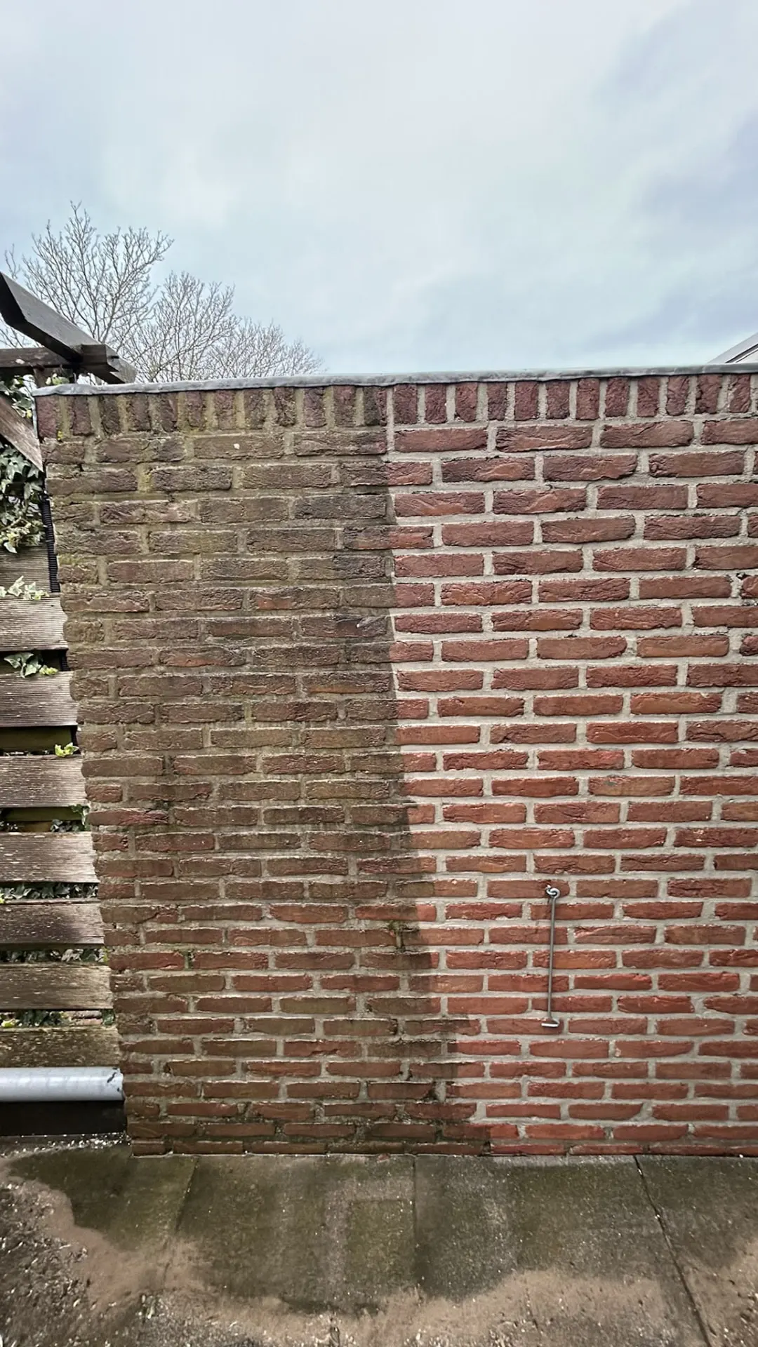 Bakstenen muur half gereinigd waarbij het verschil met de groene aanslag zichtbaar is