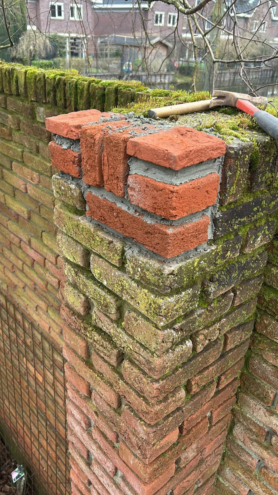 Vernieuwde rollaag met rode stenen op een bemoste tuinmuur